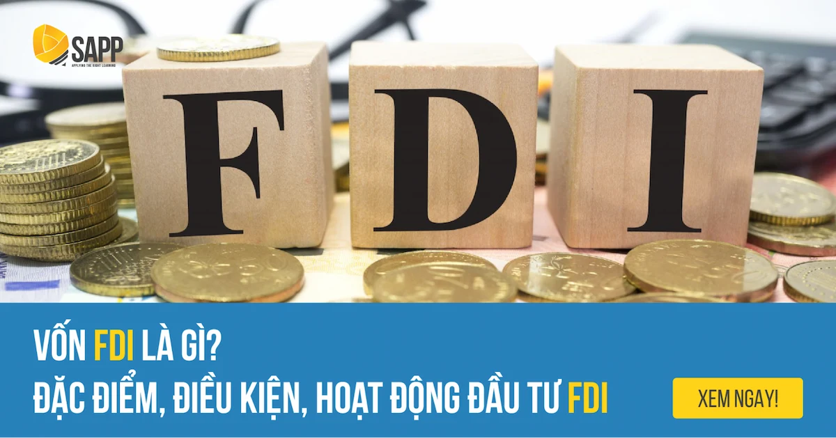 Vốn FDI Là Gì? Đặc Điểm | Điều Kiện | Hoạt Động Đầu Tư FDI