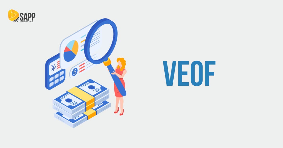 VEOF - Chứng đầu tư Cổ phiếu Hưng Thịnh Vinawealth